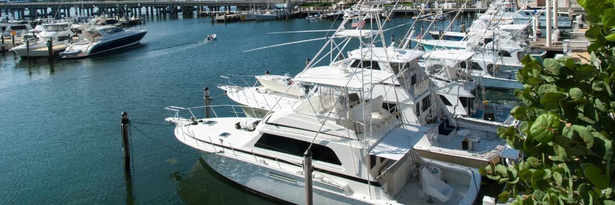 Sportfishing yachts tied up in their slips at a marina